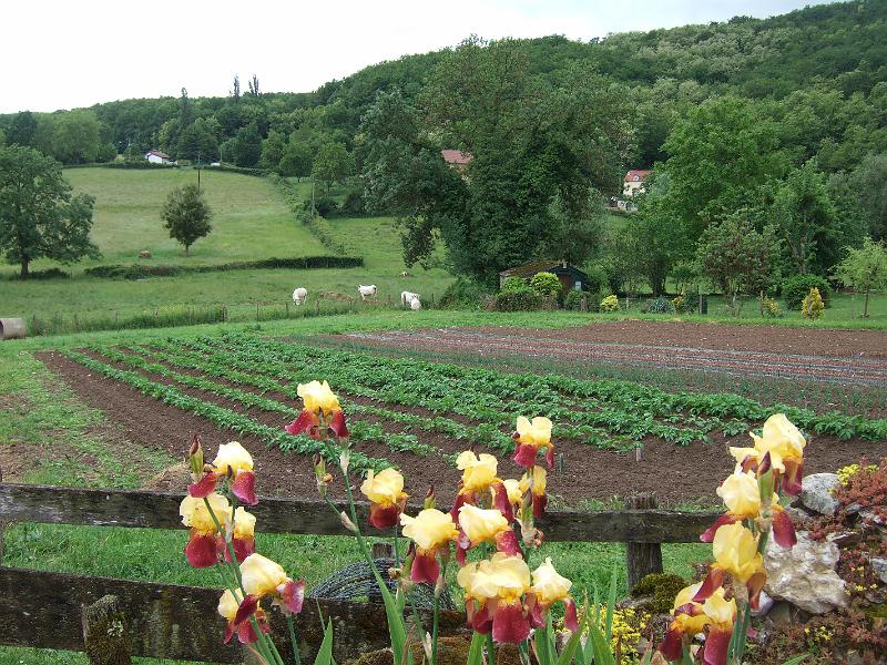 2010-05- (44).JPG